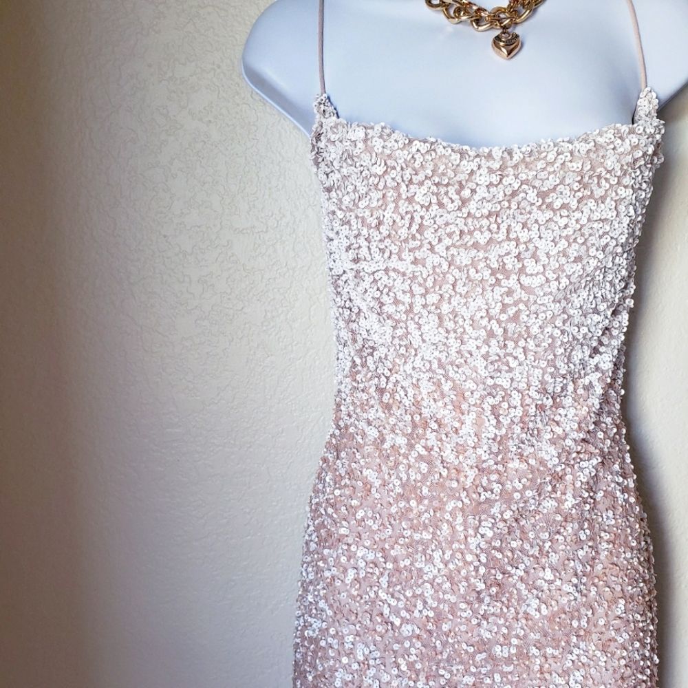 Fully Beaded Sequin Adrianna Papell Blush Pink Dress